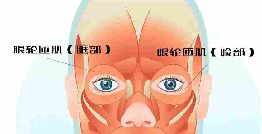 消眼袋需要解决3个问题？健康可爱，没有眼袋能实现吗？